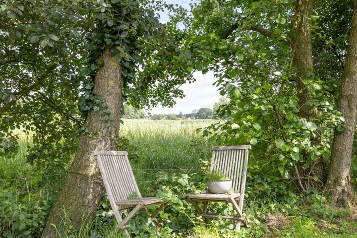 Foto 50 van Foarwurk 38