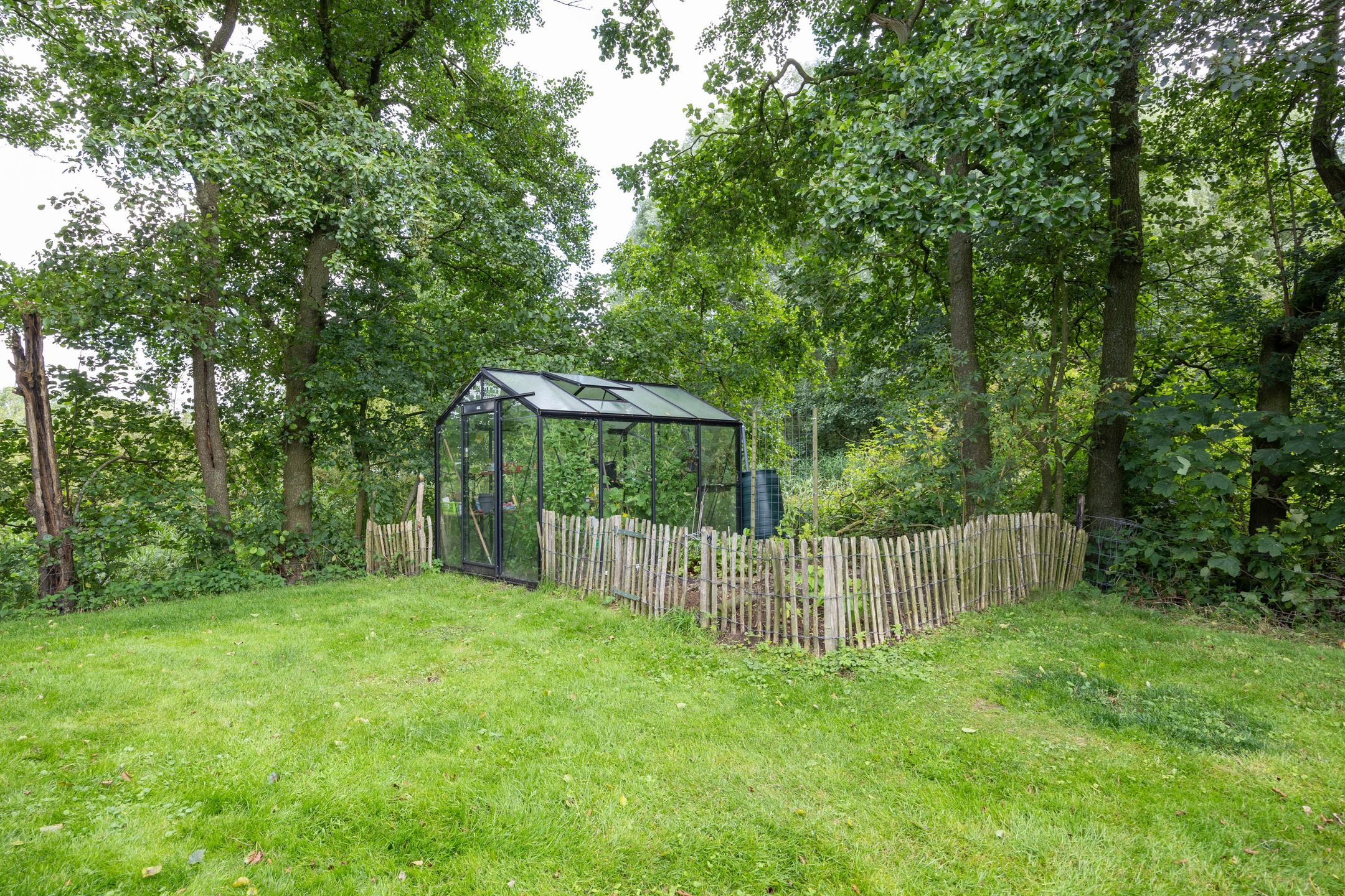 Photo 51 of Foarwurk 38