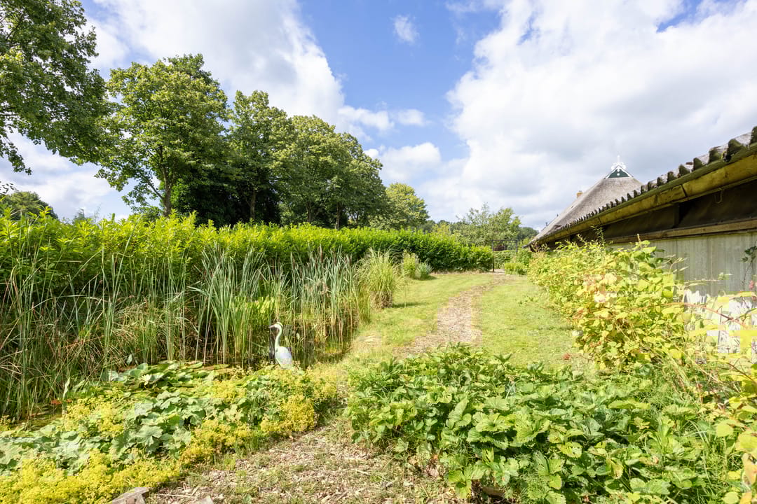 Photo 52 of Foarwurk 38