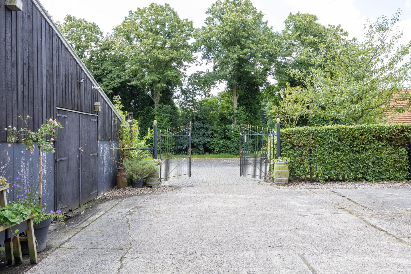 Photo 65 of Foarwurk 38