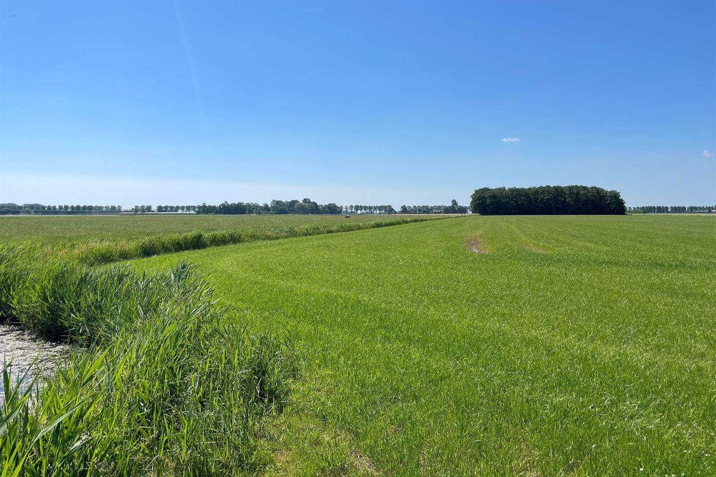 Bekijk foto 3 van Westeinderweg