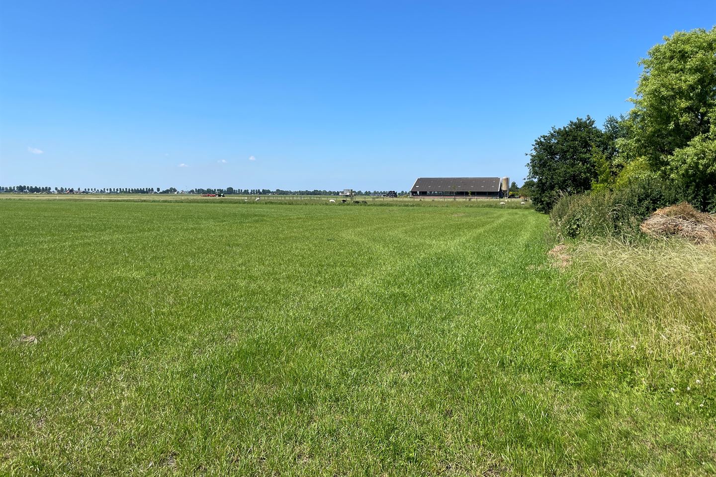 Bekijk foto 2 van Westeinderweg