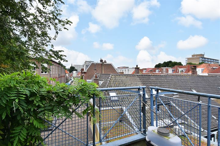 View photo 33 of Willem Beukelszoonplein 32