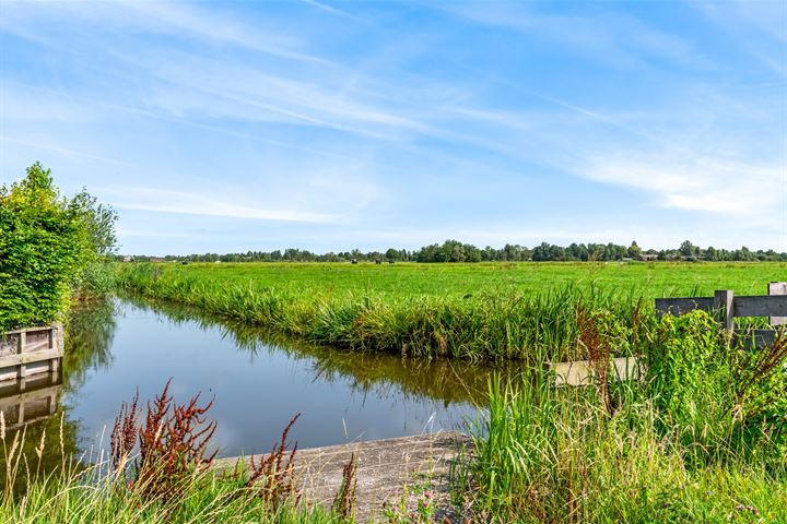 Bekijk foto 40 van Dotterbloem 1