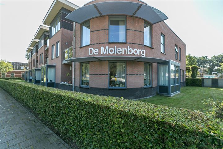 Bekijk foto 1 van De Molenborg 13