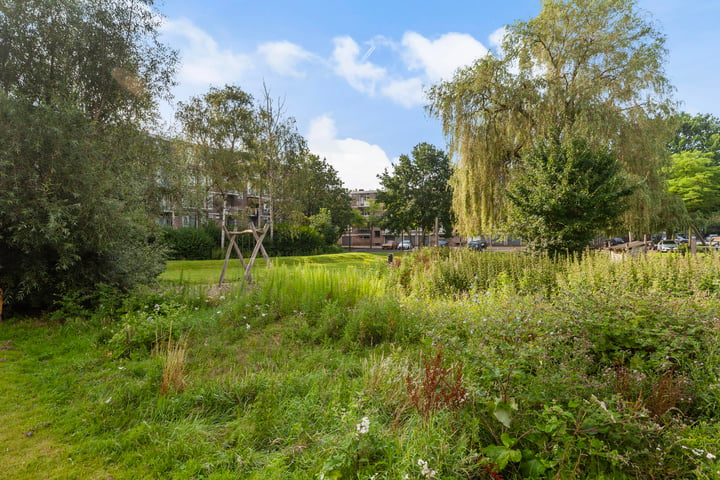 Bekijk foto 45 van Willem Landréplein 45