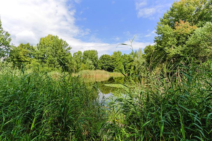 Bekijk foto 37 van Geallieerdenstraat 14