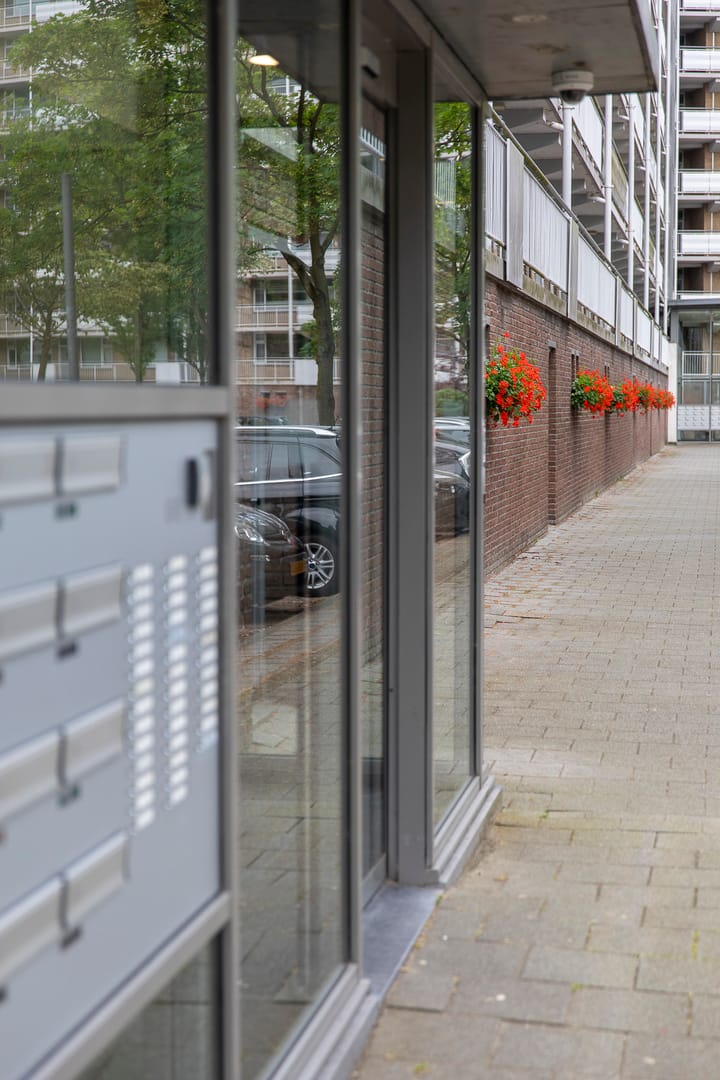 Foto 14 van Kelloggplaats 4