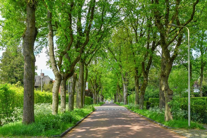 Bekijk foto 43 van Wolfhezerweg 52