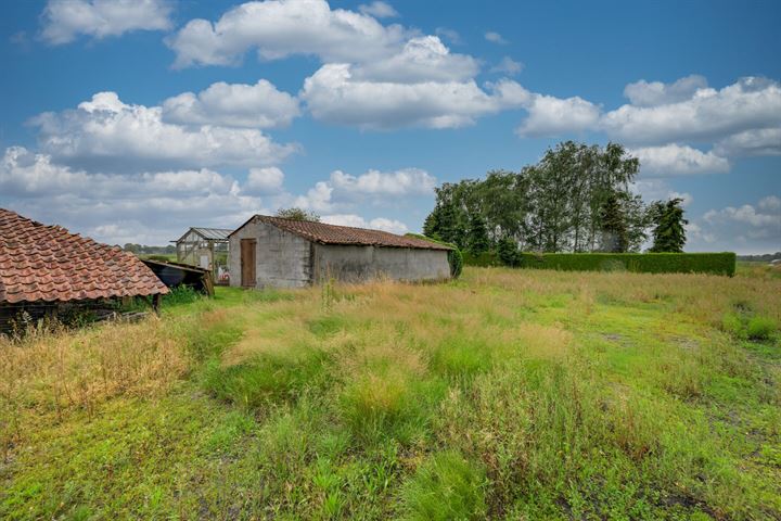 Bekijk foto 36 van Hooiberg 1