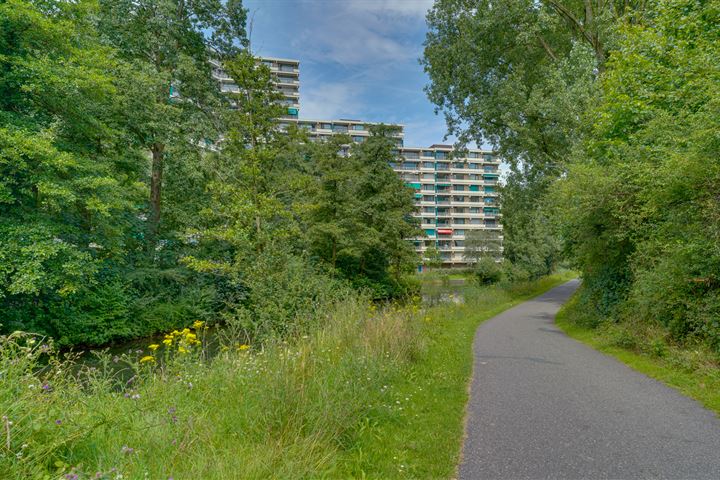 Bekijk foto 41 van Groningensingel 917