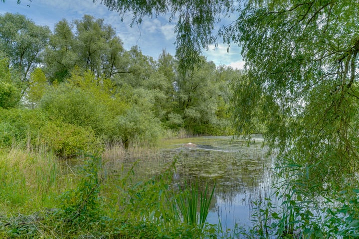 Bekijk foto 42 van Groningensingel 917