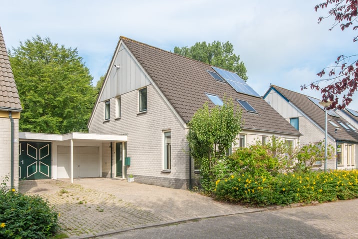 undefined main image