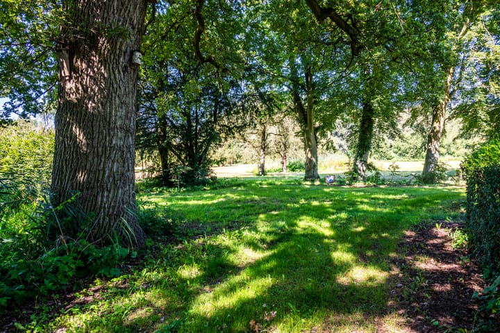 Photo 82 of Grote Allee 2