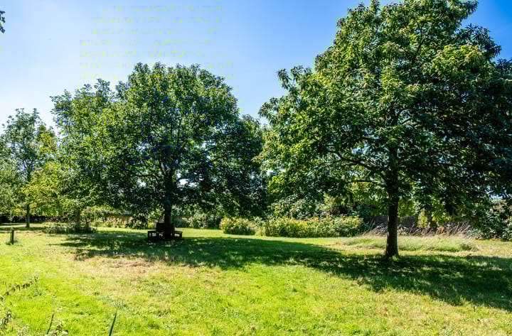 Photo 85 of Grote Allee 2