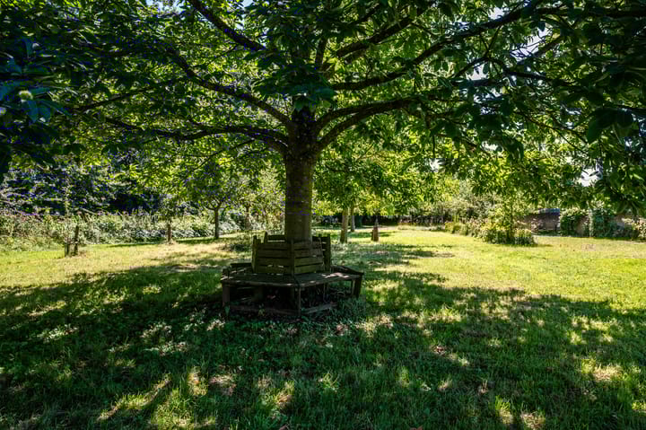 Photo 87 of Grote Allee 2