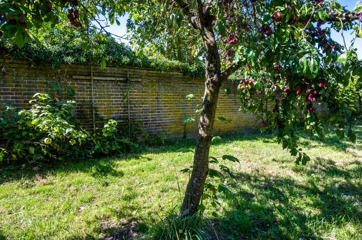 Photo 88 of Grote Allee 2