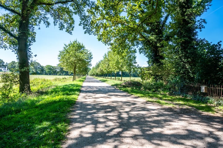 Photo 92 of Grote Allee 2