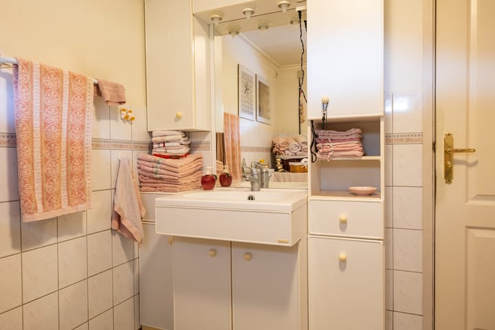 Foto 15 van Polderdijk 1020