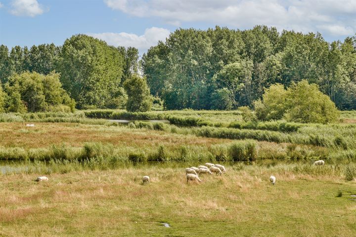 Bekijk foto 22 van Noordeinde 136