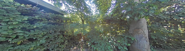 Bekijk 360° foto van achtertuin van Zuidweg 18-0027