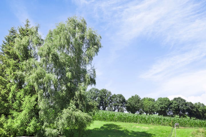 Bekijk foto 37 van Dorpsstraat 73