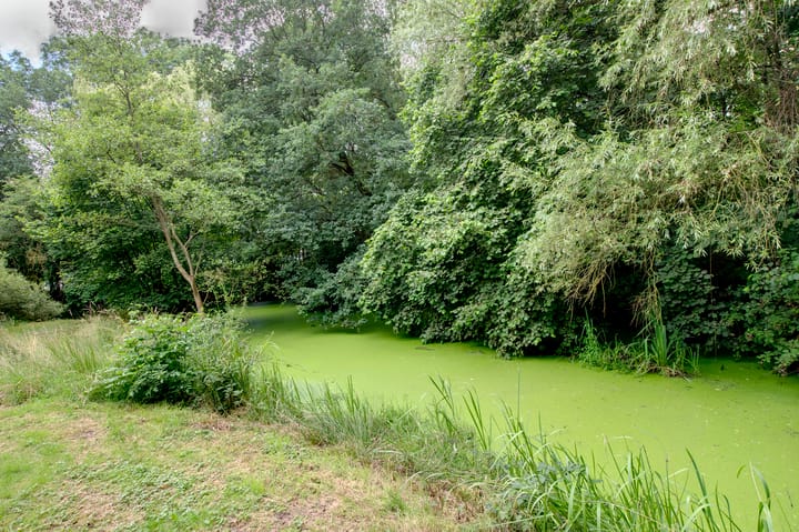 Foto 10 van Schilligepad 32