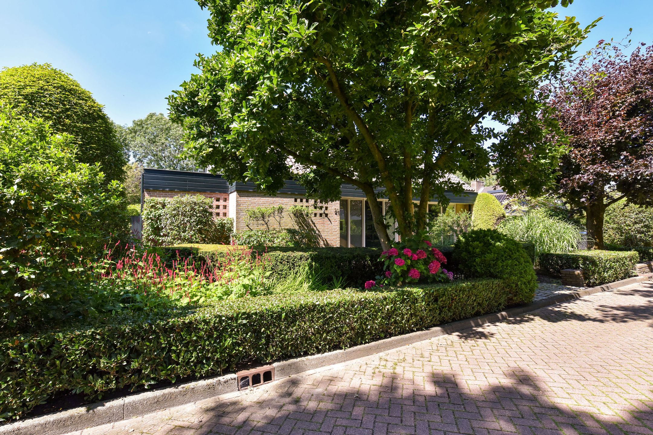 Foto 51 van Dokter Mees ten Oeverlaan 21