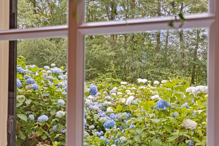 Foto 9 van Dorperdijk 21