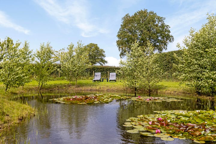 Foto 81 van Dorperdijk 21