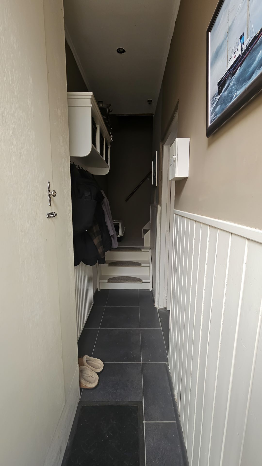 Photo 2 of Tholensstraat 52