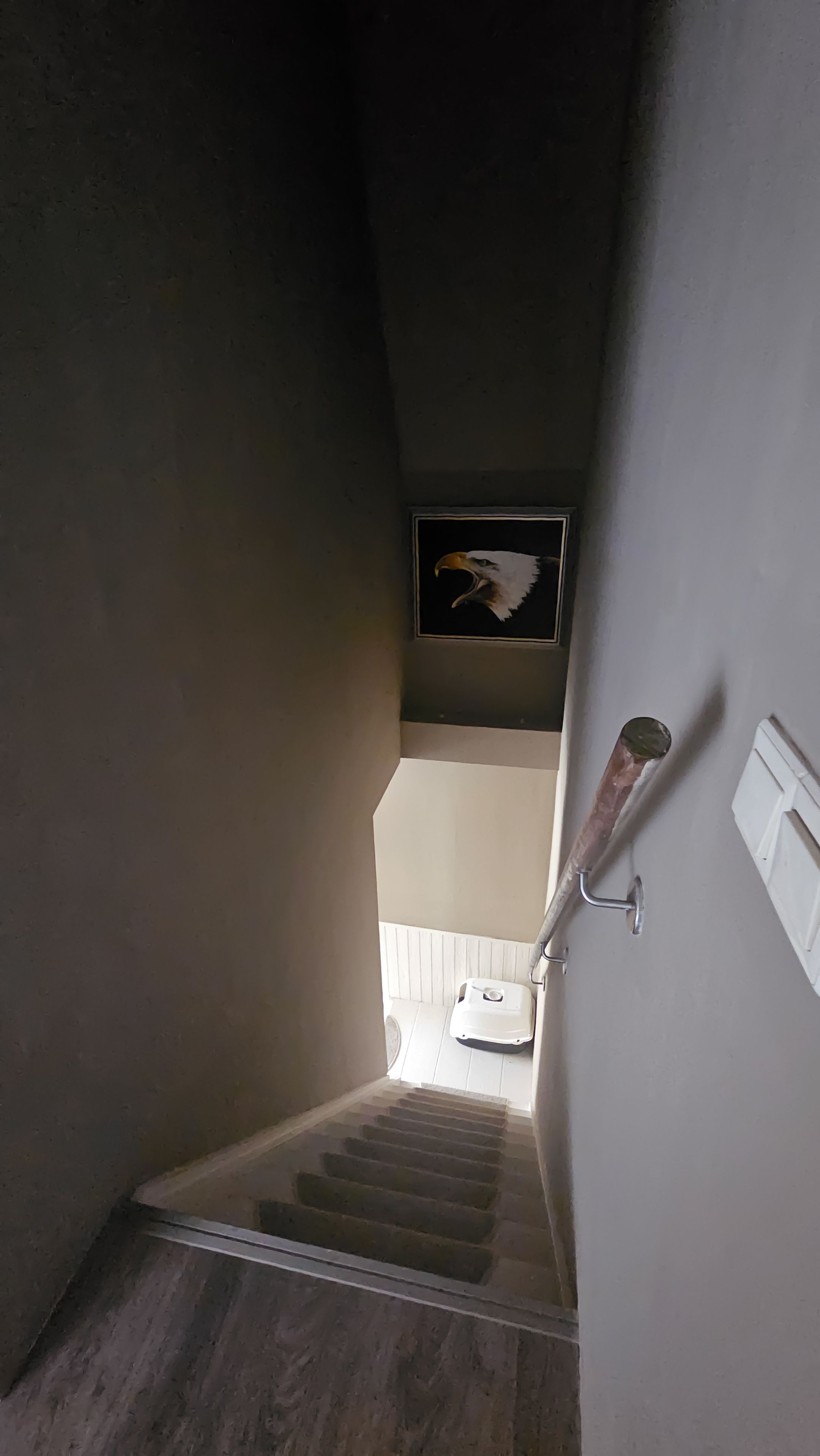 Photo 12 of Tholensstraat 52