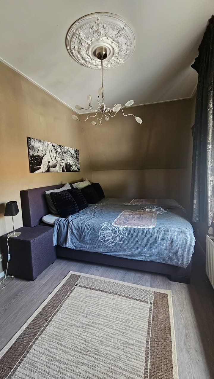 Foto 13 van Tholensstraat 52