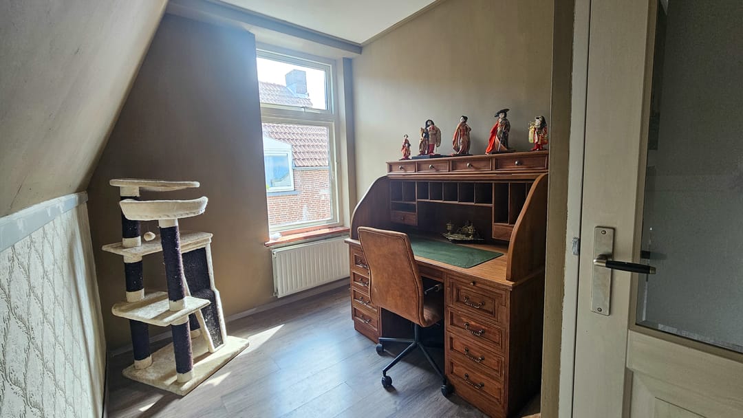 Photo 17 of Tholensstraat 52