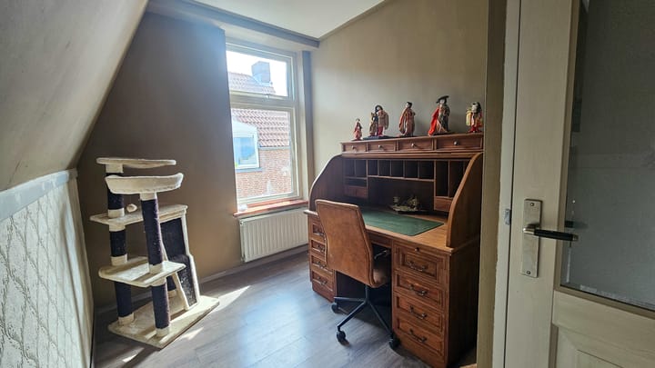 Foto 17 van Tholensstraat 52