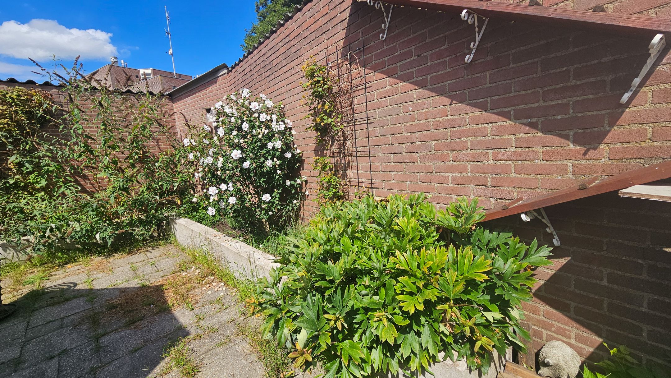 Photo 24 of Tholensstraat 52