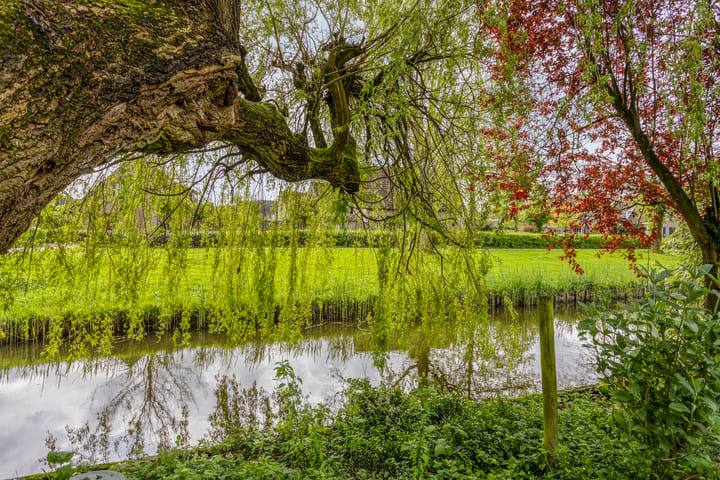 Foto 6 van Walhoven 4