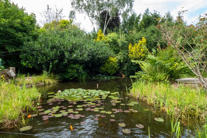 Foto 40 van Eltenseweg 10