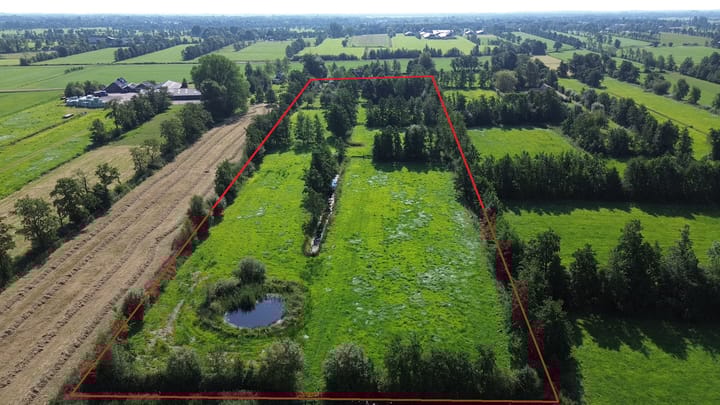 Foto 3 van Doezumertocht 15