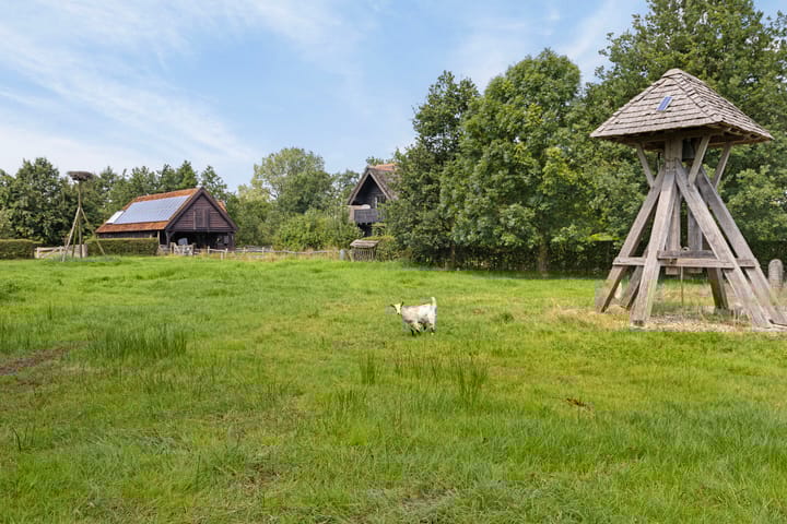 Foto 37 van Doezumertocht 15