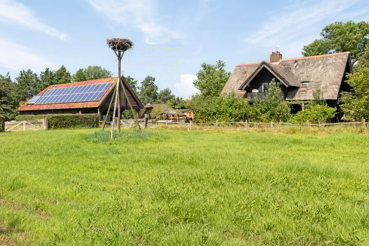 Foto 39 van Doezumertocht 15