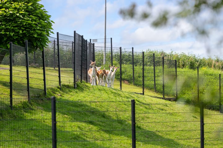 Foto 43 van Rottekade 22