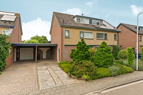 undefined main image