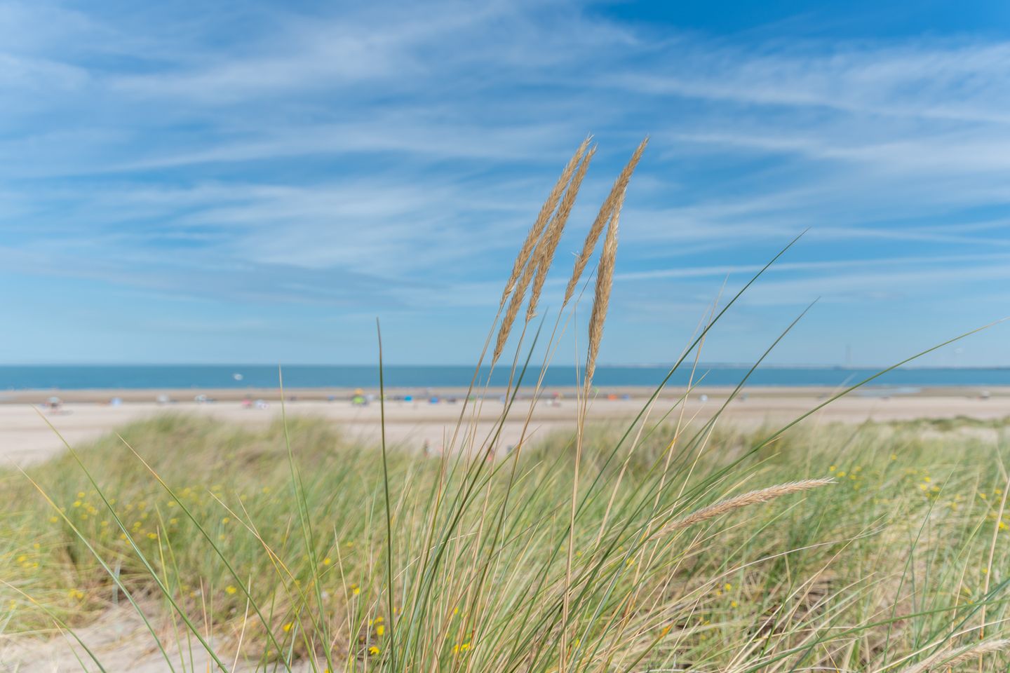 Foto 4 van Kreekpad bouwkavel 1