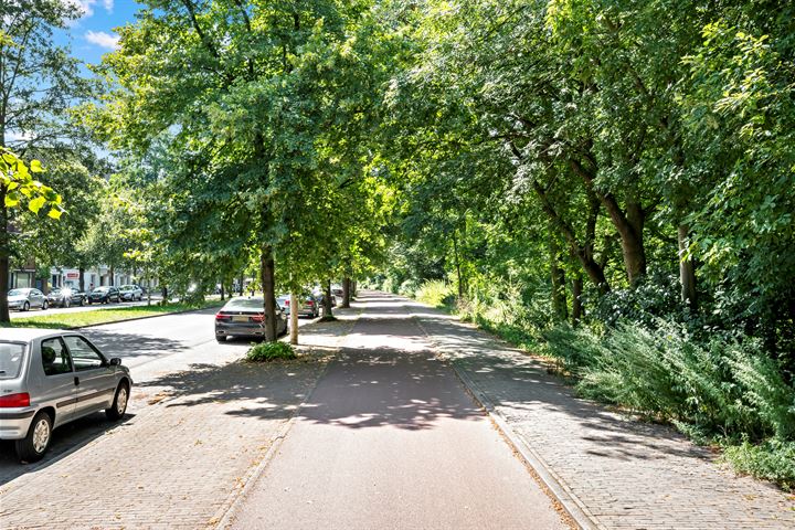 Bekijk foto 43 van Bezuidenhoutseweg 355-D