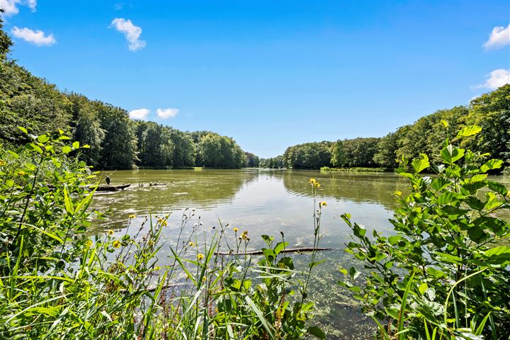 Bekijk foto 49 van Bezuidenhoutseweg 355-D