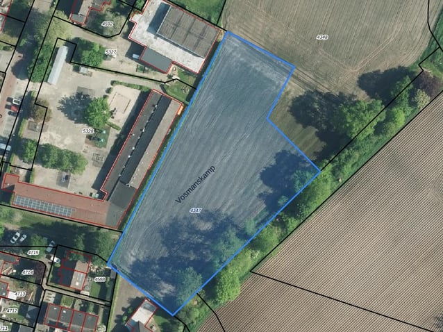 undefined main image