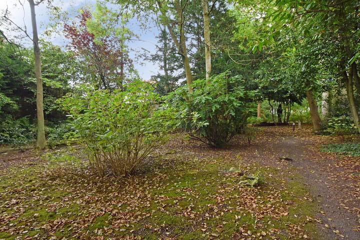 Foto 29 van Noordeinde 31