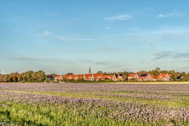 Bekijk foto 34 van Zuidweg 18-0027