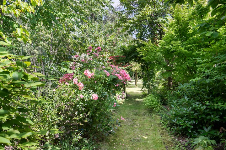 Foto 27 van 's-Gravenstraat 357